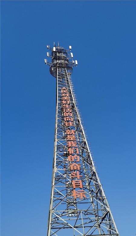 西安城墙成功入选